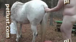 Парень трахает лошадь в пизду на природе.Смотреть зоо порно онлайн