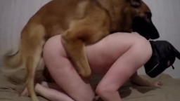 Собака трахает мужика в жопу. Зоо порно с домашним животным онлайн