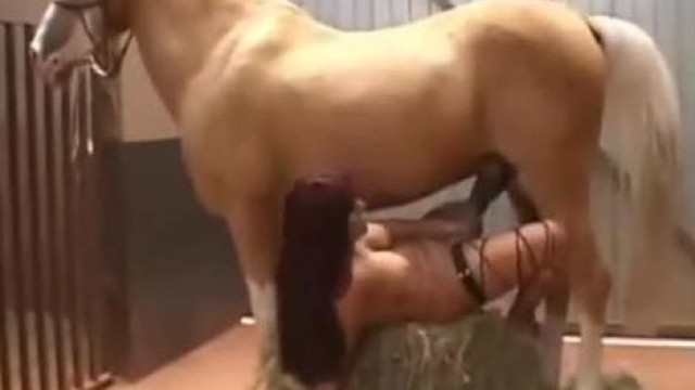 Порно видео женщина занимается сексом с лошадью