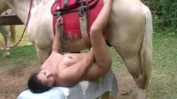 Порно видео лошадь смотреть онлайн