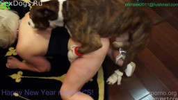Собака трахает жену при муже. Русское зоо порно видео