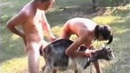 Порно с козой, мужик трахает козу под хвост с женой