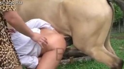 Конь порвал девушки пизду. Порно с животным