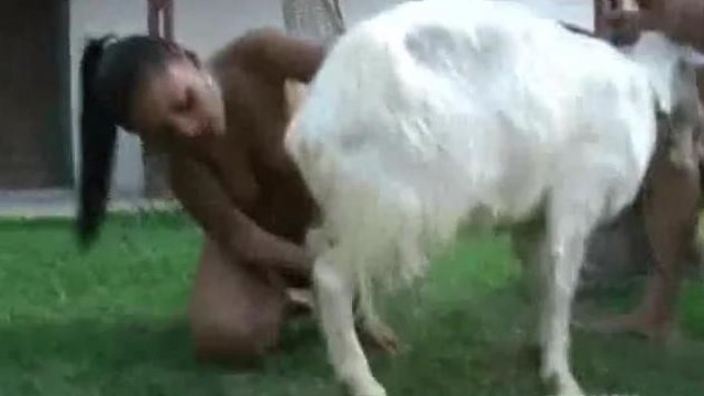 зоофилы трахают козу групповой зоо секс