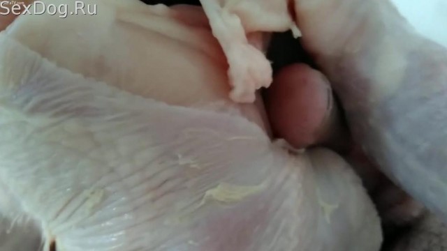 Зоофил выебал курицу в жопу