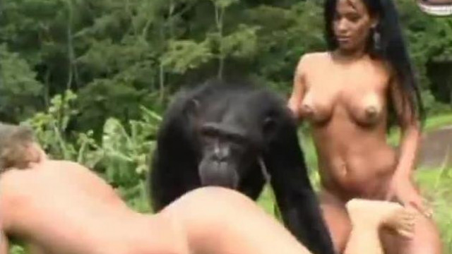 Порно обезьяны с девушкой порно видео