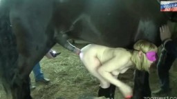 Русское зоо порно видео шлюхи с конём