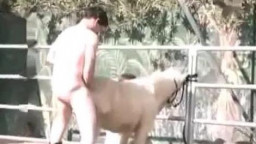 Парень трахает пони и вылизывает у неё лошадиную вагину. Скачать бесплатно
