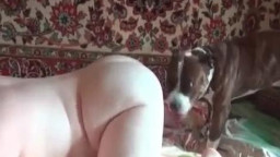 Русский секс с животным - девушку трахает собака, смотреть зоо порно
